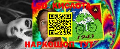 прущие грибы Апрелевка