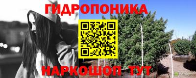 гашишное масло Аргун