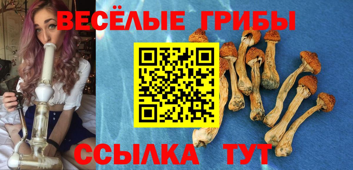 Псилоцибиновые грибы мицелий Вязьма