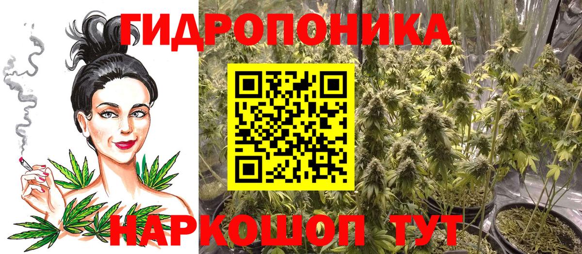 Бошки Шишки сатива  Бошки марихуана MAZAR  Вязьма  Шишки марихуана индика  Шишки марихуана сатива  Вход с VPN 
